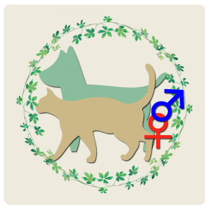 避妊・去勢を検討中の飼い主様へ｜厚木キジュ動物病院