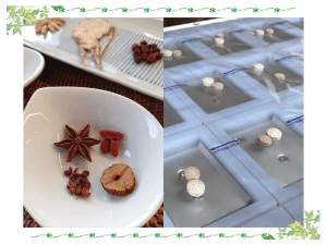 漢方薬｜厚木キジュ動物病院