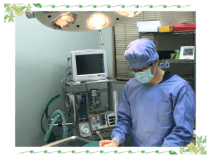 循環器診療｜厚木キジュ動物病院