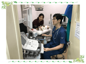 循環器診療｜厚木キジュ動物病院