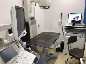 検査｜厚木キジュ動物病院