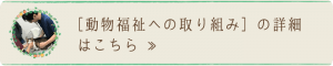 動物福祉への取り組み｜厚木キジュ動物病院