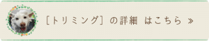 トリミング｜厚木キジュ動物病院