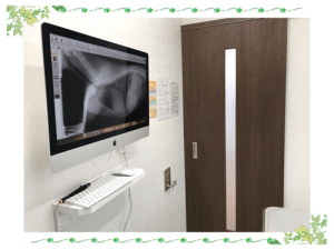 厚木キジュ動物病院の特徴｜厚木キジュ動物病院