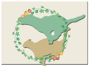 整形外科｜厚木キジュ動物病院