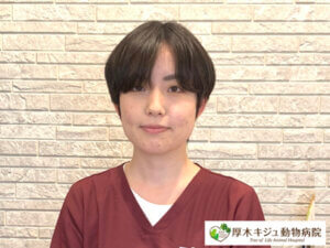 06-動物看護士｜厚木キジュ動物病院