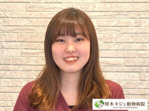 08-トリマー｜厚木キジュ動物病院