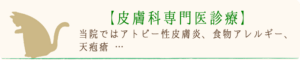 皮膚科専門医療｜厚木キジュ動物病院