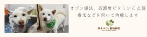 厚木キジュ動物病院