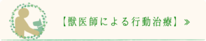 獣医師による行動療法｜厚木キジュ動物病院