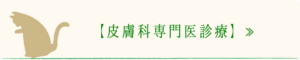 皮膚科専門医療｜厚木キジュ動物病院
