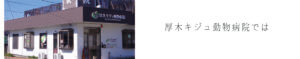 厚木キジュ動物病院