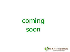 coming soon｜厚木キジュ動物病院
