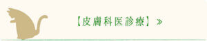 皮膚科医診療｜厚木キジュ動物病院