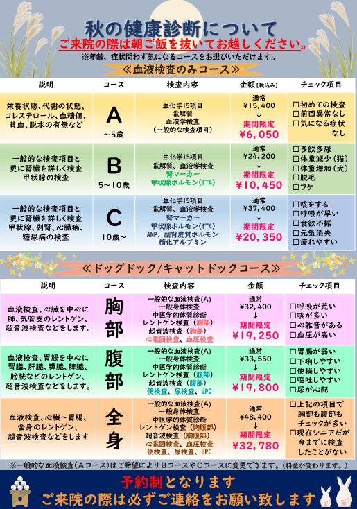 2024秋の健康診断キャンペーン