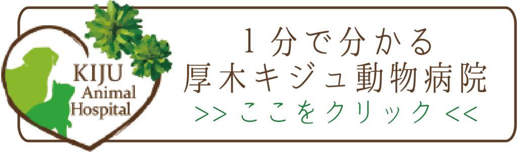 厚木キジュ動物病院