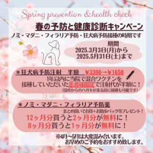 春の予防と健康診断キャンペーン|厚木キジュ動物病院