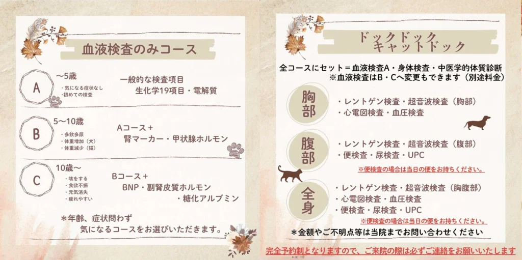 秋の健康診断キャンペーン｜厚木キジュ動物病院