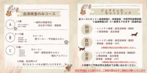 秋の健康診断キャンペーン｜厚木キジュ動物病院