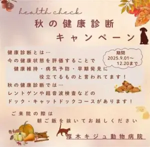 秋の健康診断キャンペーン｜厚木キジュ動物病院