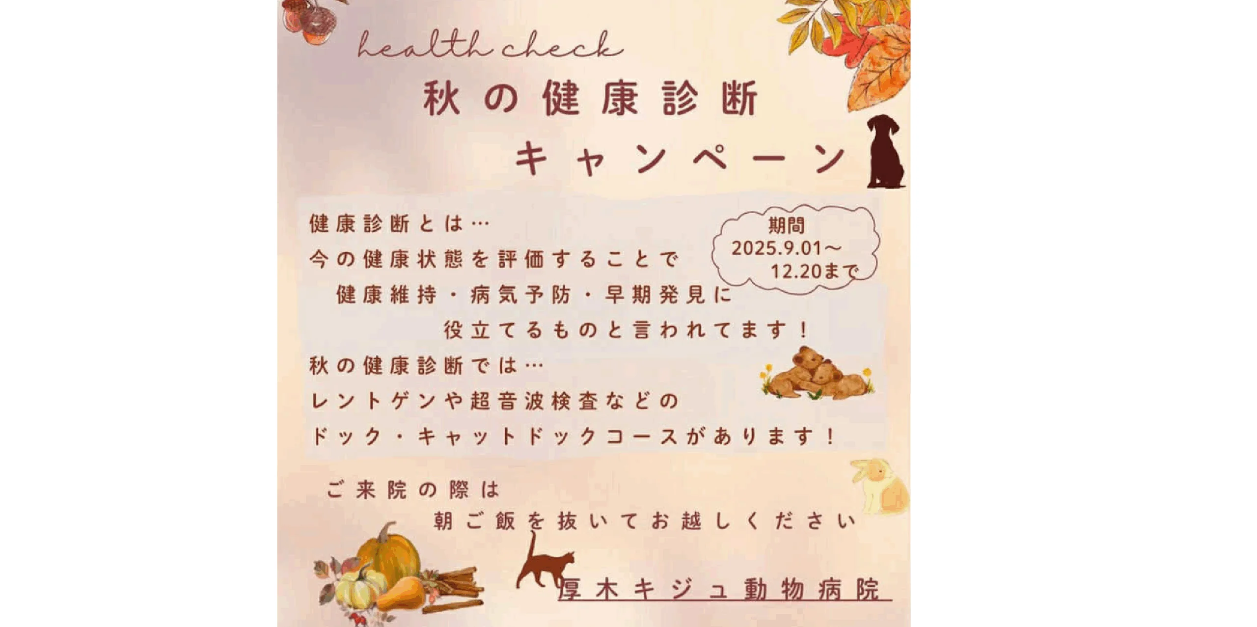 秋の健康診断キャンペーン｜厚木キジュ動物病院