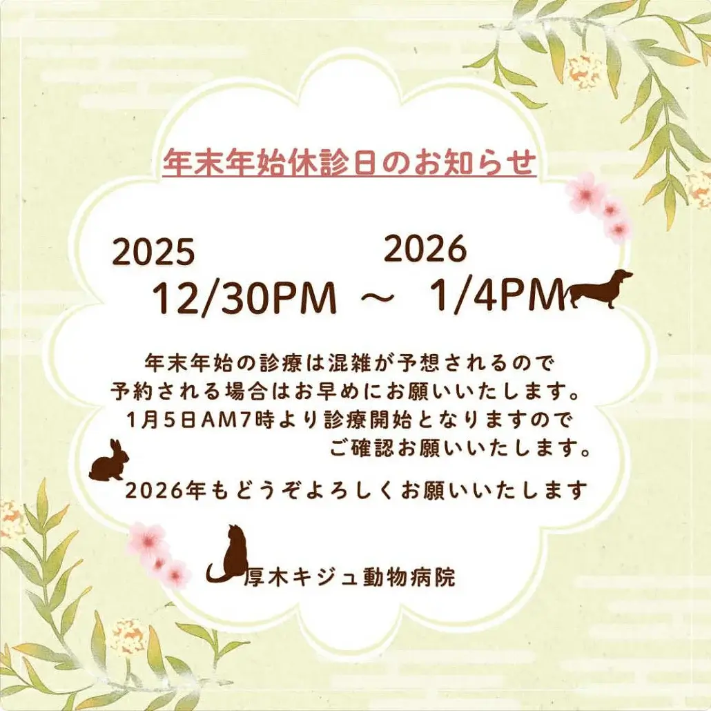 厚木キジュ動物病院