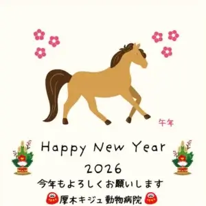 厚木キジュ動物病院